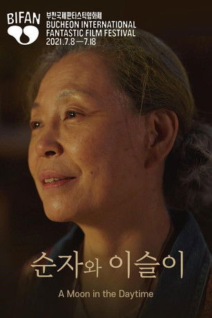 The Moon In The Daytime