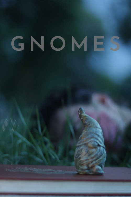 Gnomes Poster