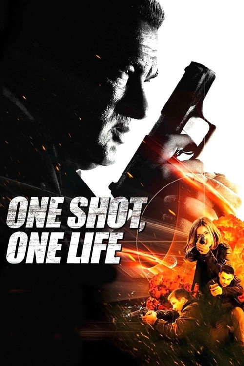 One Shot, One Life电影海报