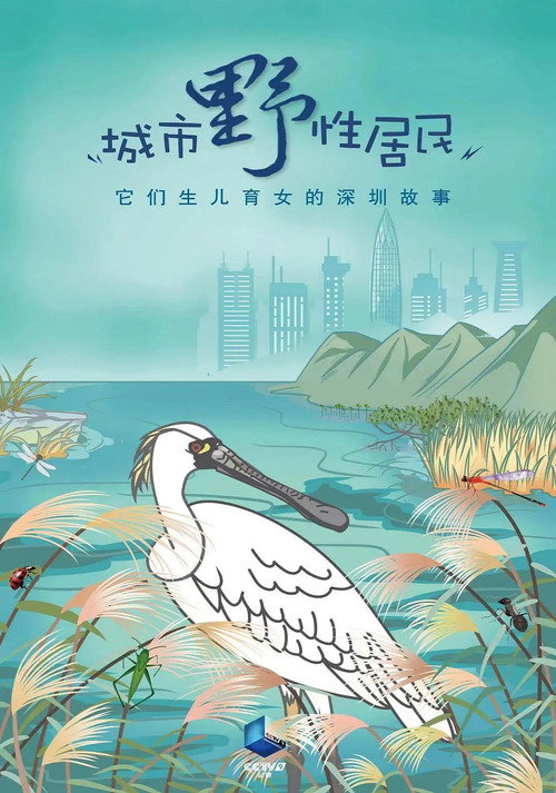 城市野性居民电影海报