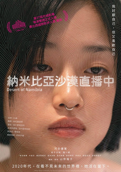 纳米比亚的沙漠电影海报