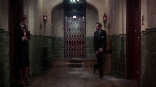 Tras la pista de la pantera rosa (1982) 