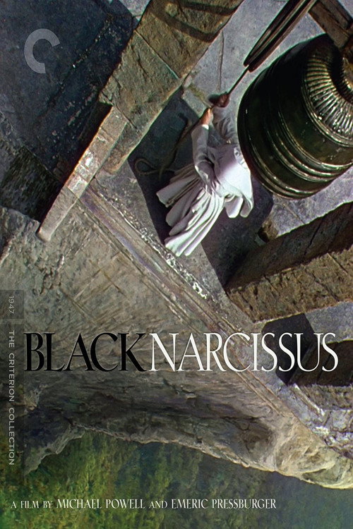 A Profile of 'Black Narcissus' poster 2