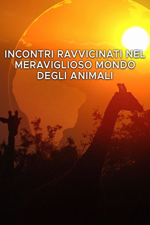 Incontri ravvicinati nel meraviglioso mondo degli animali电影海报