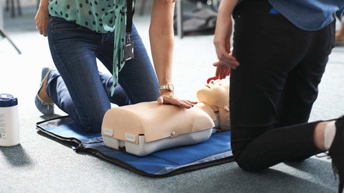 Cheddar Cheese, CPR Mannequins, Dishwashers