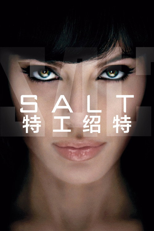 特工绍特电影海报