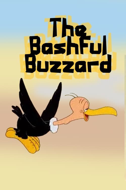 The Bashful Buzzard