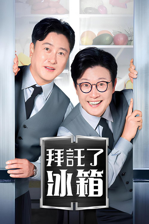拜托了冰箱电影海报