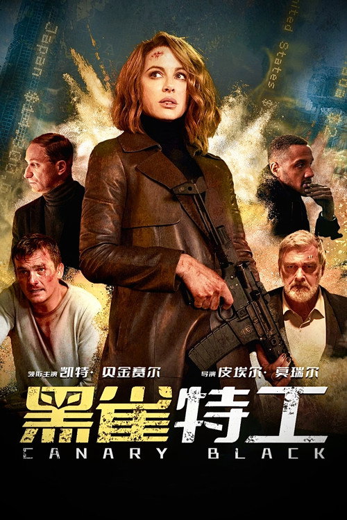 黑雀特工电影海报