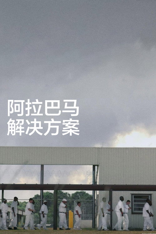 阿拉巴马解决方案电影海报
