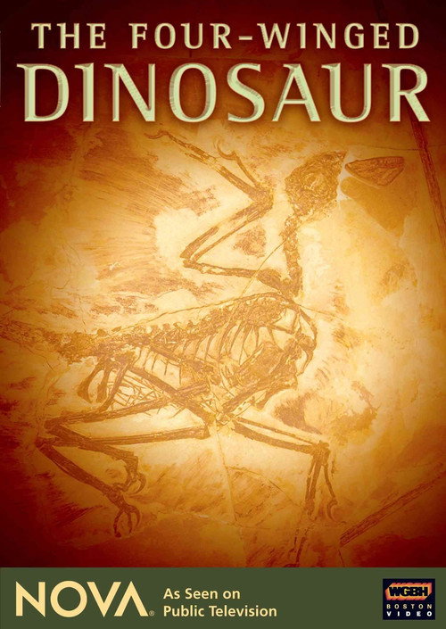 The Four-Winged Dinosaur poster 2