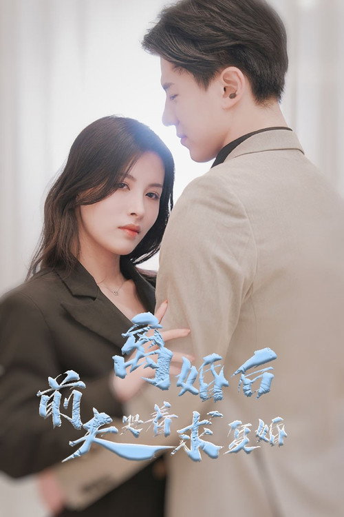 离婚后,前夫哭着求复婚电影海报