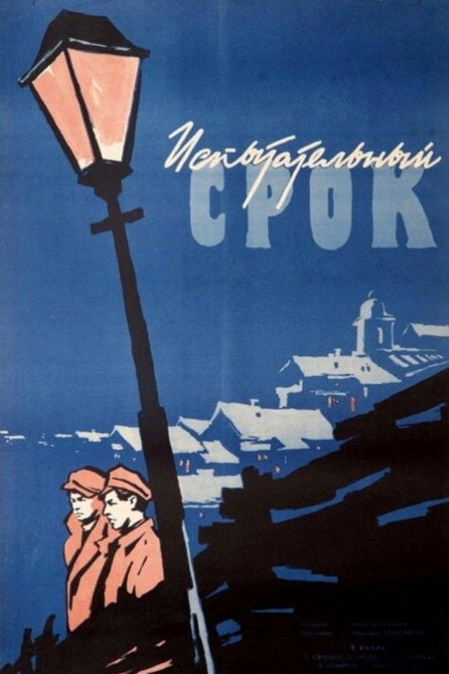 Испытательный срок电影海报