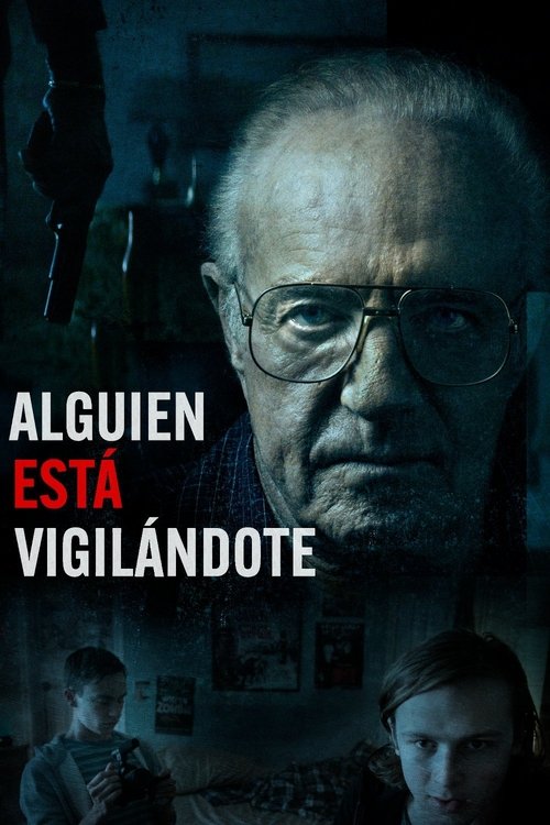 Poster of El buen vecino