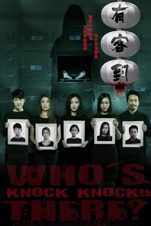 有客到电影海报