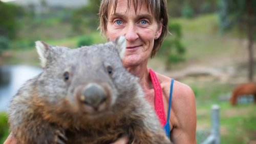 A House Full of Wombats