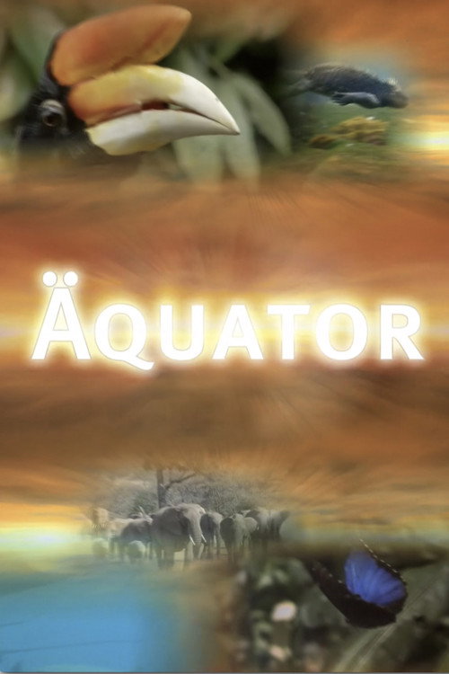 &Auml;quator电影海报