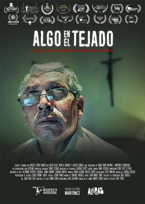 Algo en el tejado poster