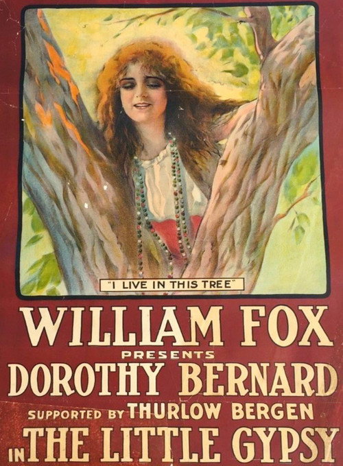 The Little Gypsy poster 3