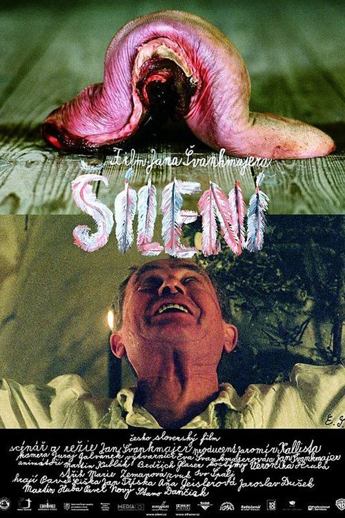 Šílení poster