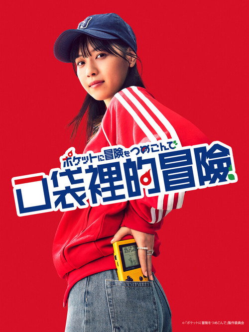 口袋里的冒险电影海报