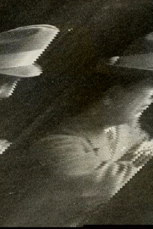 Person Image