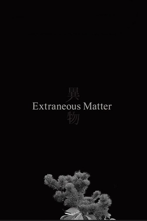 Extraneous Matter poster 2