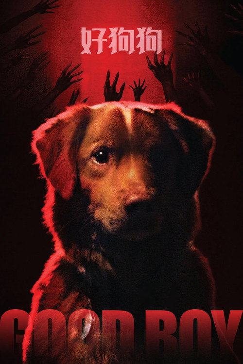 好狗狗电影海报
