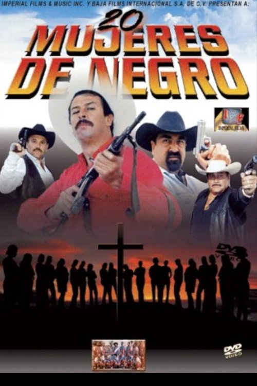 20 Mujeres de Negro电影海报