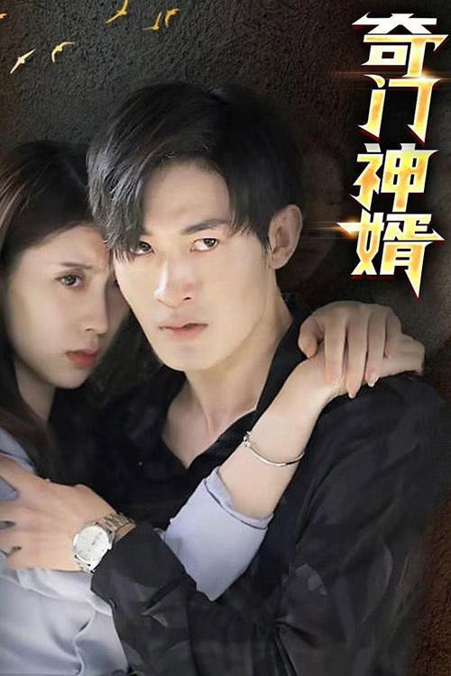 奇门神婿电影海报