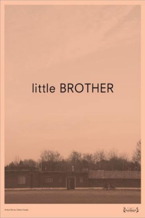 Little Brother