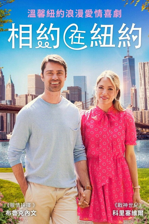 相会在纽约电影海报
