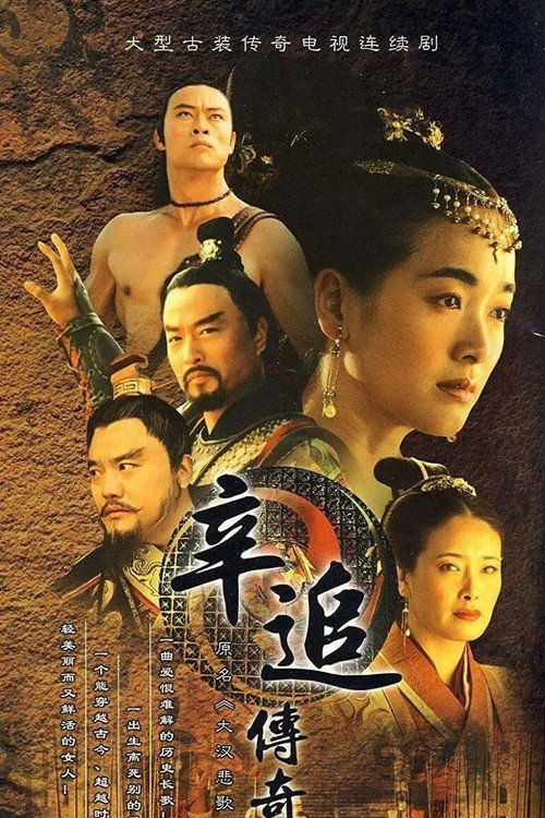 대한비가电影海报