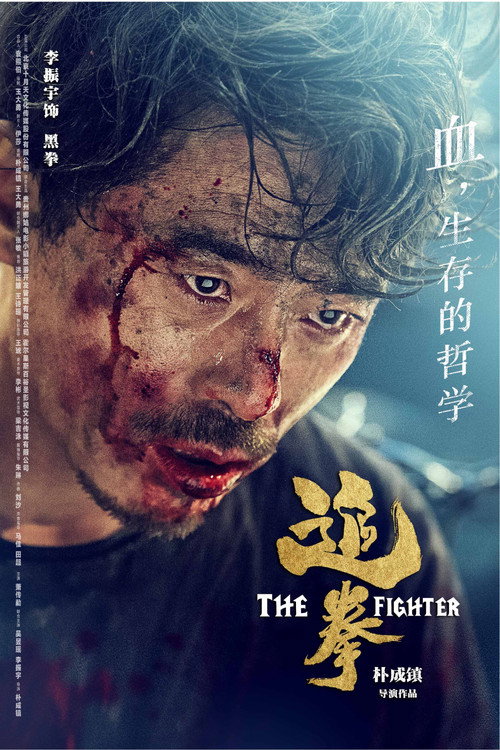 The Fighter poster 5