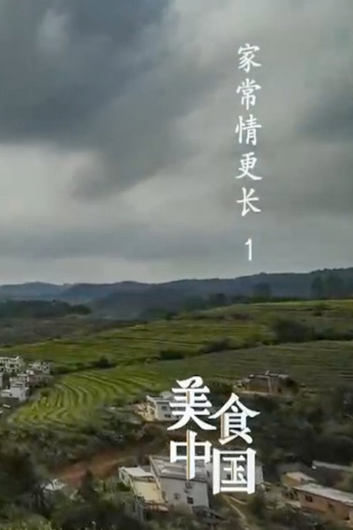 美食中国：家常情更长电影海报