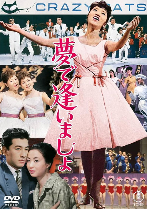 Let's Meet in Our Dreams poster 3