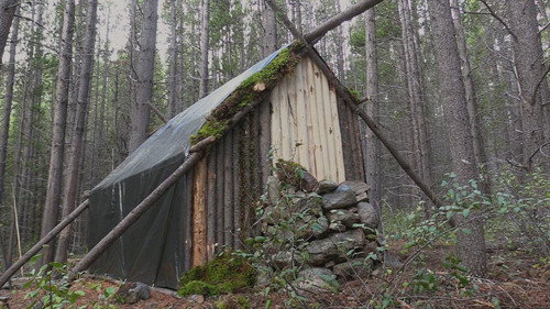 The Winner's Journey