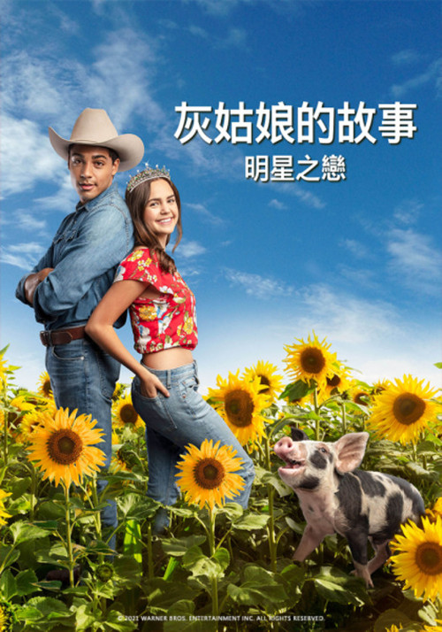 灰姑娘的故事：明星之恋电影海报