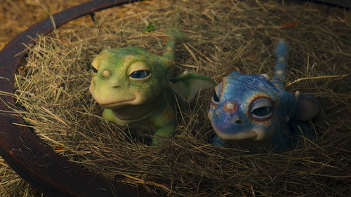 Dragon Babies