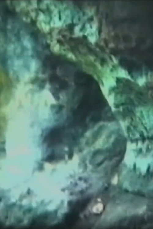 Penetrating Through the Cave (1979) Filmes Completos Gratis