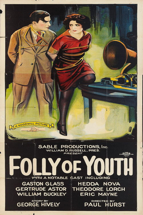 Folly of Youth Poster