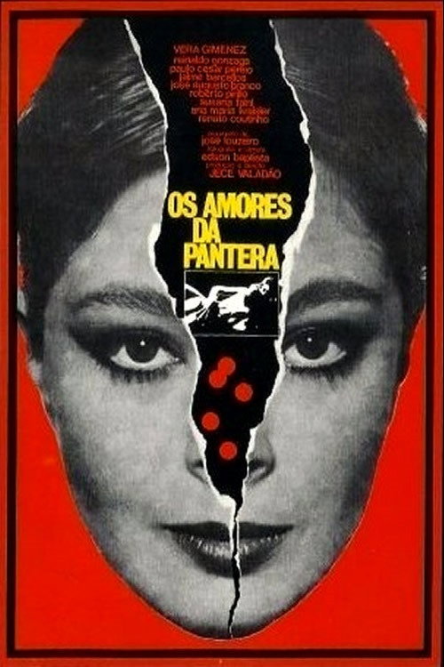 Os Amores da Pantera poster 3