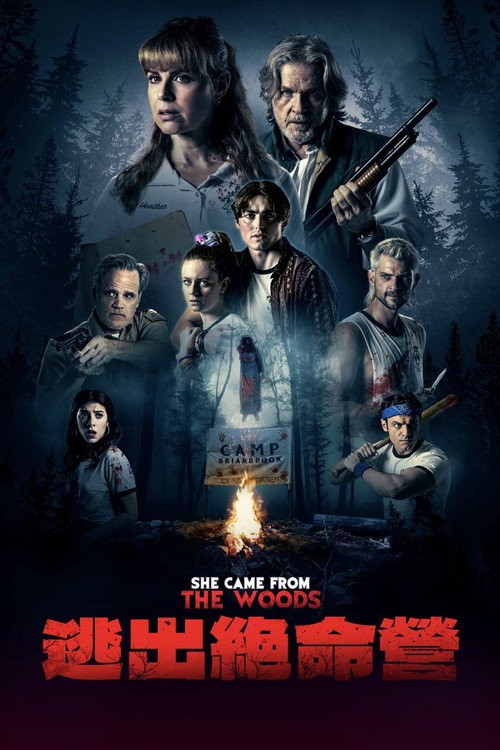 她自林中来电影海报