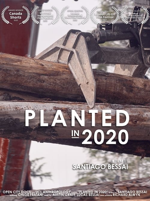 Planted+in+2020