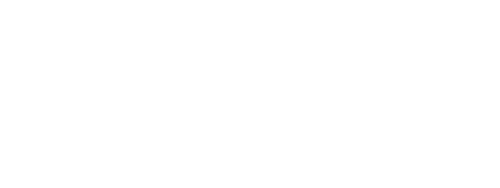 STRAY DOLLS Logo