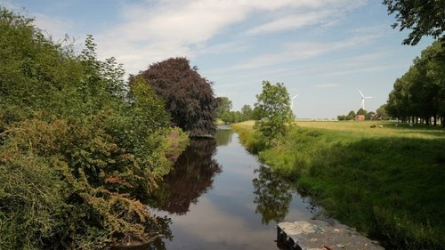 images