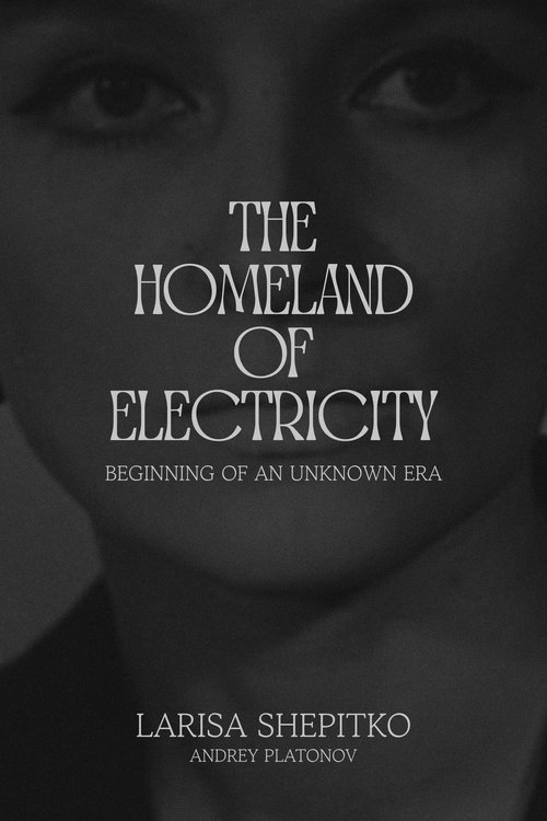 The Homeland of Electricity Poster