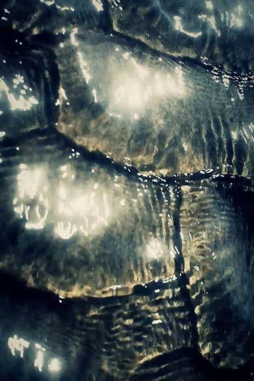 Ocean