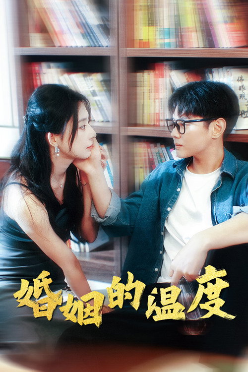 婚姻的温度电影海报