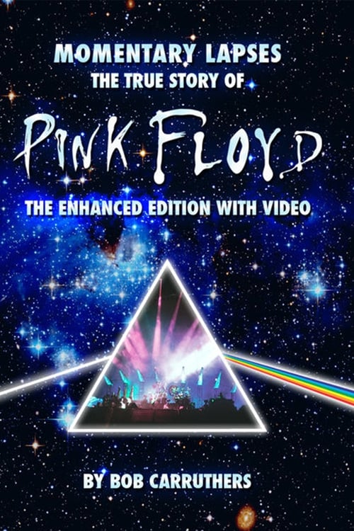 Pink Floyd: Momentary Lapses - The True Story of Pink Floyd 2010